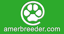 Dog Breeders in Europe