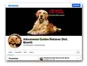 Allevamento Golden Retriever Dott. Masetti