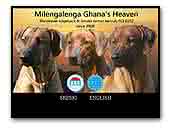 Milengalenga Ghana's Heaven Rhodesian Ridgeback & Border Terrier