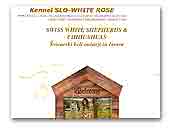 Chihuahuas SLO - White Rose Kennel