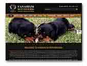 Vanaheim Rottweilers