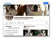 Nomovet The Best Ljubica Cerovic