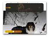 Rough Collie Allevamento della Granriva