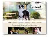 Winstead Australian Shepherds