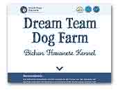 Dream Team Dog Farm Bichon Havanese Kennel