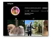 Emblem of Eternal Love Pomeranians