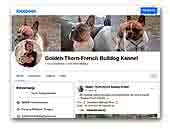 Golden Thorn French-Bulldog Kennel