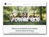 Heart of Hailey Australian Shepherds