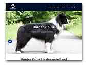 Hyper Paw Border Collie kennel