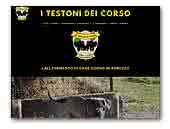 Testoni dei Corso | Allevamento del Cane Corso