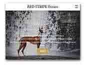 Red Stripe Smooth Haired Ibizan Hounds - Podenco Ibicenco