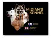 MIDIAN'S American Akitas, American Foxhounds