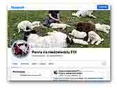 Panna na niedźwiedziu FCI Landseers