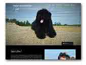 Hanyi-Koromfehér puli Kennel