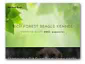 Rich Forest Beagles