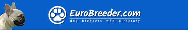 French Bulldog Dog Breeders - EuroBreeder.com