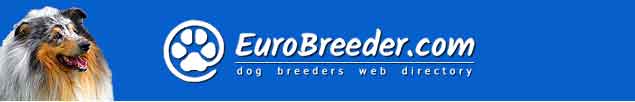 Collie Rough Breeders - EuroBreeder.com