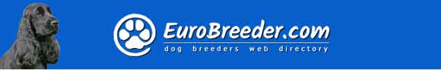 English Cocker Spaniel Dog Breeders - EuroBreeder.com