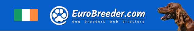 Ireland Dog Breeders - EuroBreeder.com