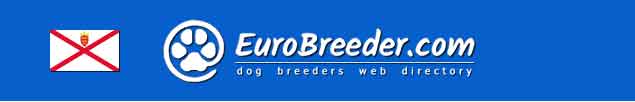 Jersey Dog Breeders - EuroBreeder.com