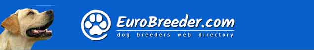 Labrador Retriever Dog Breeders - EuroBreeder.com