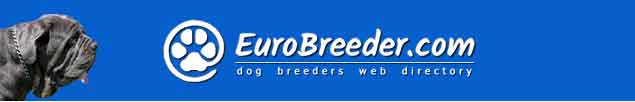 Neapolitan Mastiff Breeders - EuroBreeder.com