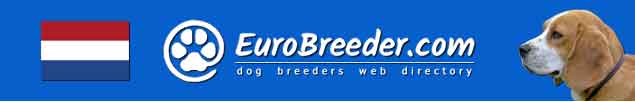 Netherlands Dog Breeders - EuroBreeder.com
