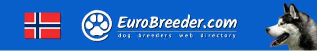 Norway Dog Breeders - EuroBreeder.com