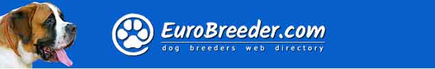 St. Bernard Dog Breeders - EuroBreeder.com