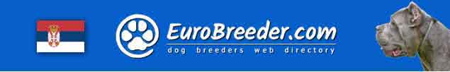 Serbia Dog Breeders - EuroBreeder.com