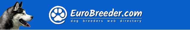 Siberian Husky Breeders - EuroBreeder.com