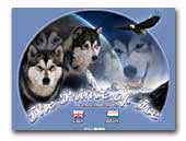 The Prince of Ice - alaskan malamutes