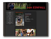 German Shepherd Dog von Einfall