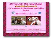 Allevamento del Lungobasso Bassethound e Golden Retriever