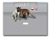 Amber Dream FCI - Bullmastiff kennel