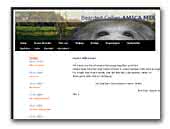 Amica mia Bearded Collies