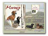 Maruga short hair Dachshunds - Standard and Kaninchen 
