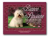 Bianco Passione Bolognese kennel