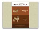 Birengo