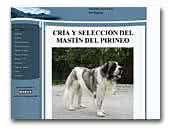 Bordagaray Pyrenean Mastiffs