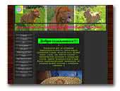 bordoss.com