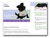 brusselsgriffon.com.cy