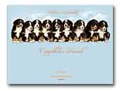 Bernese Mountain Dog Kennel Carynthia's