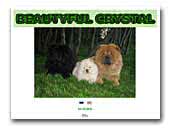 Beautyful Crystal kennel