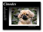 Cinodes Tibetan Spaniels