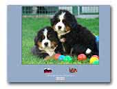Conte Veneto Kennel
