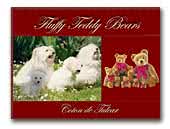 Fluffy Teddy Bears Coton de Tulear Kennel