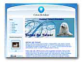 Coton De Tulear Kennel Túlavá Bavlnka