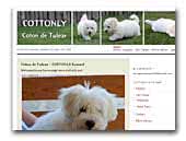 COTTONLY Coton de Tulear