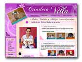Criadero Villa Maltes, shihtzu y yorkshire
